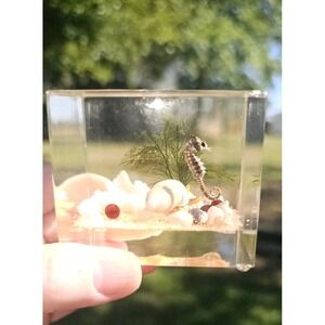 Lucite Sealife Diorama Aquarium Block‎ 2.5" X 2.5" Small Paperweight Vintage 60s